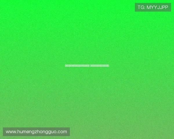 申京欧洲杯爆发背后：特训训练师助力 休赛期投射训练打造信心提升